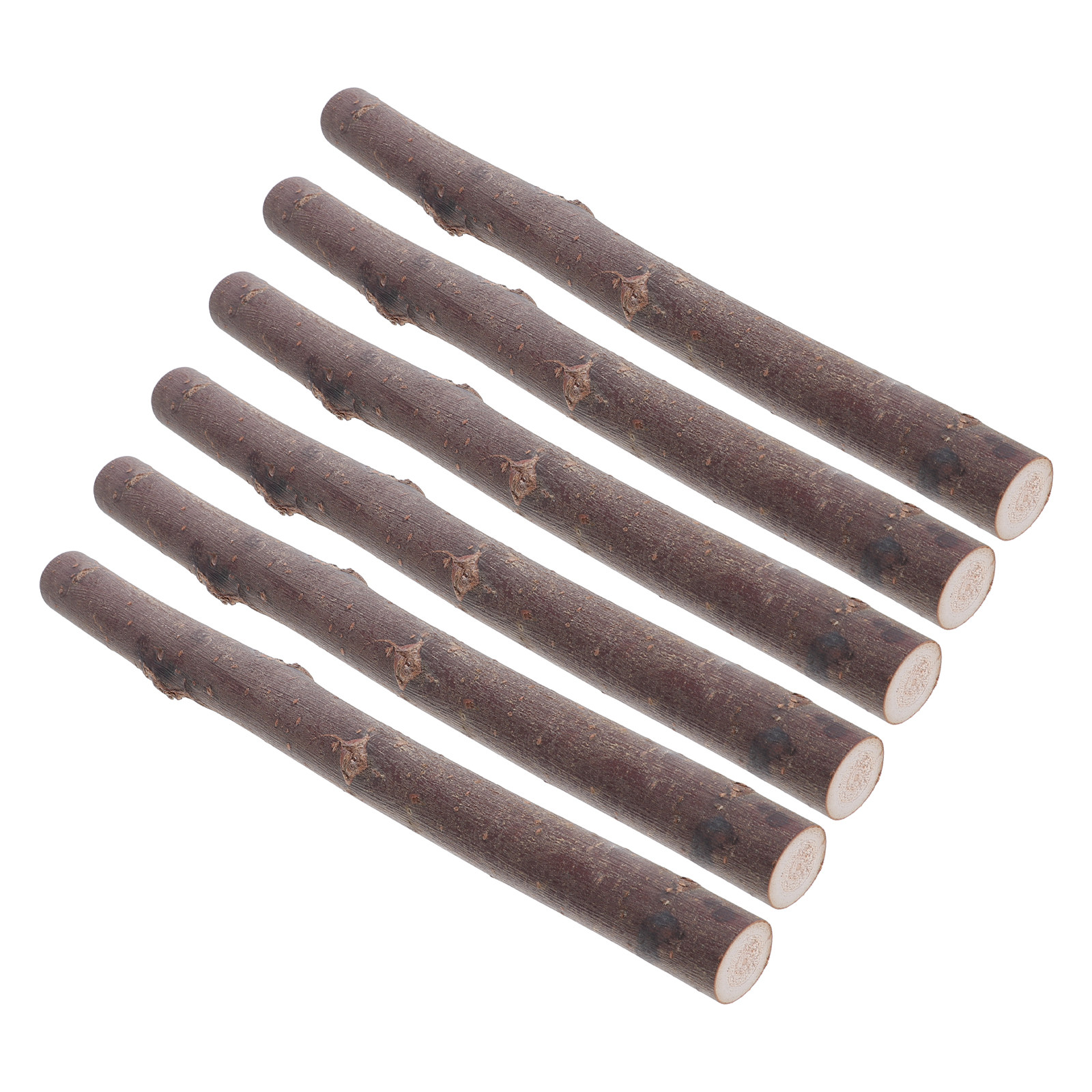 6 Stück Birkenholz-Zweige Natü – Centerpiece Stick Bewertung und Preis